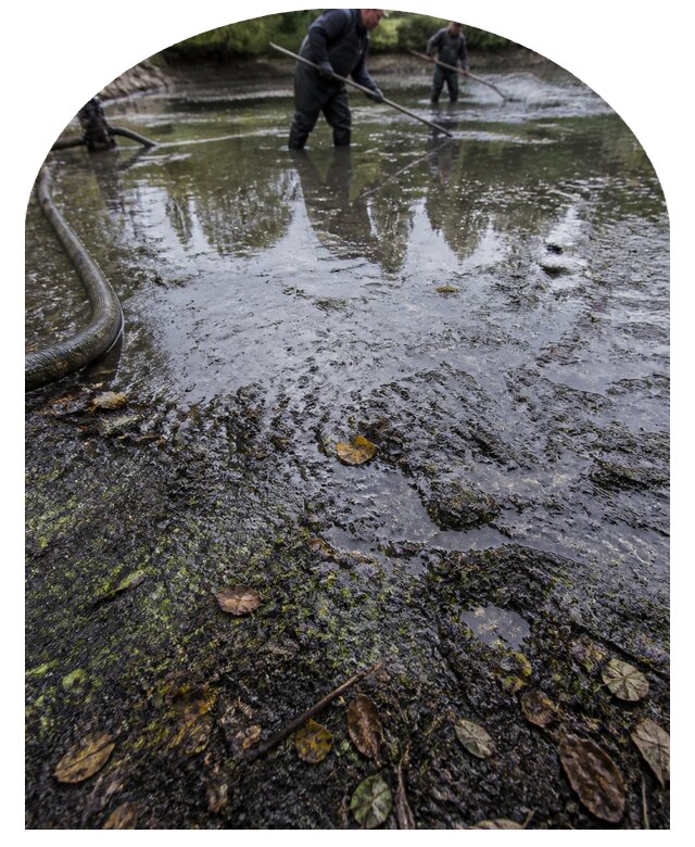 Очистка пруда в Обнинске от ила мусора и водорослей с вывозом